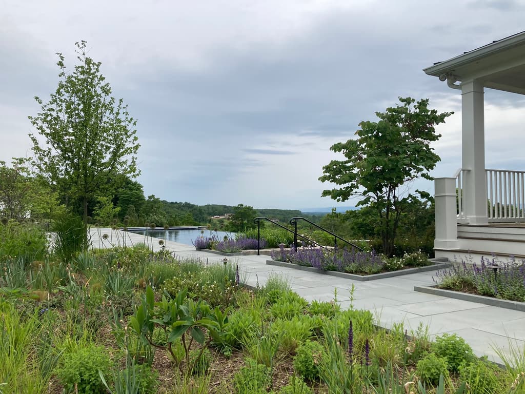 Perennial planting and stone terrace in summer